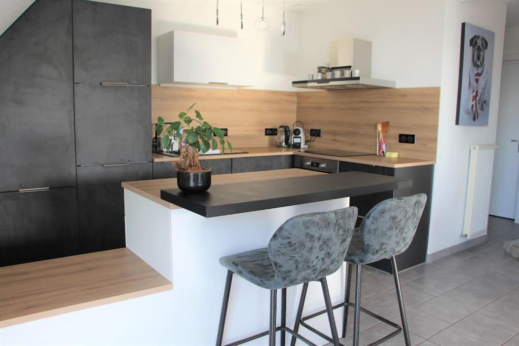 Appartement Avec Vue Panoramique Voegtlinshoffen Buitenkant foto